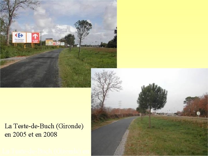 La Teste-de-Buch (Gironde) en 2005 et en 2008 La Teste-de-Buch (Gironde) en 2003. Photo