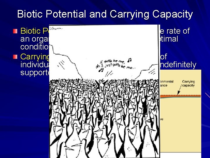 Biotic Potential and Carrying Capacity Biotic Potential - Maximum reproductive rate of an organism