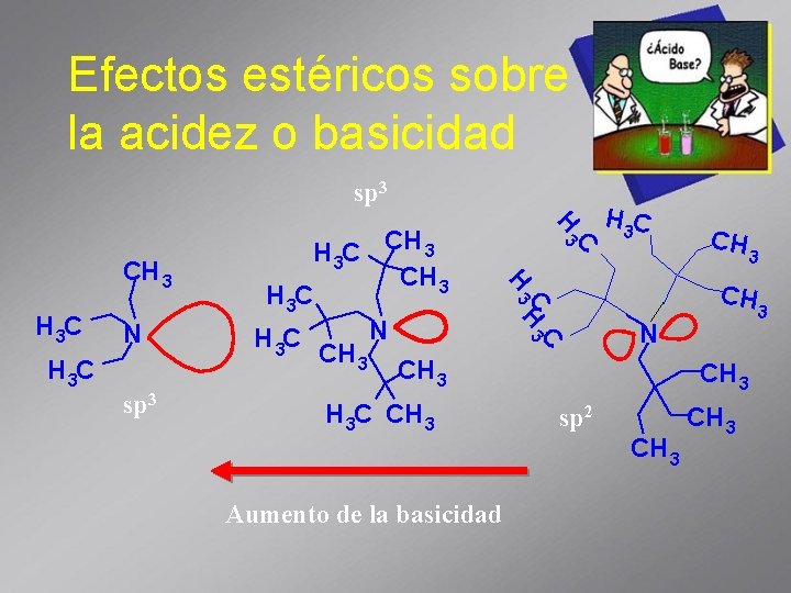 Efectos estéricos sobre la acidez o basicidad sp 3 H 3 C N sp