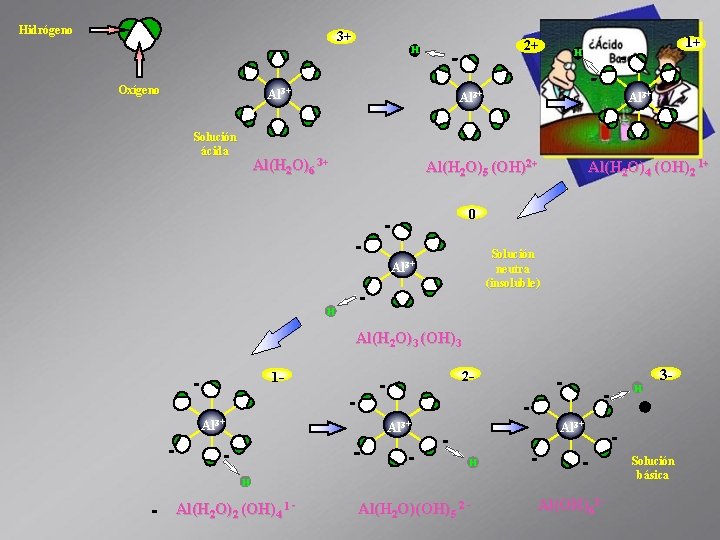 Hidrógeno 3+ 2+ H Oxígeno Al 3+ Solución ácida 1+ H Al 3+ Al(H
