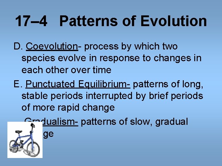 17– 4 Patterns of Evolution D. Coevolution- process by which two species evolve in 17– 4 Patterns of Evolution D. Coevolution- process by which two species evolve in