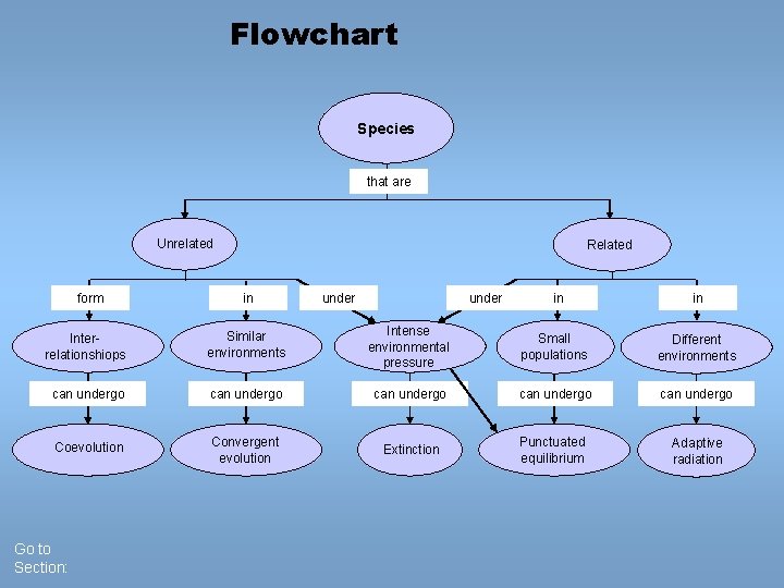 Flowchart Species that are Unrelated form Related in under in in Interrelationshiops Similar environments Flowchart Species that are Unrelated form Related in under in in Interrelationshiops Similar environments