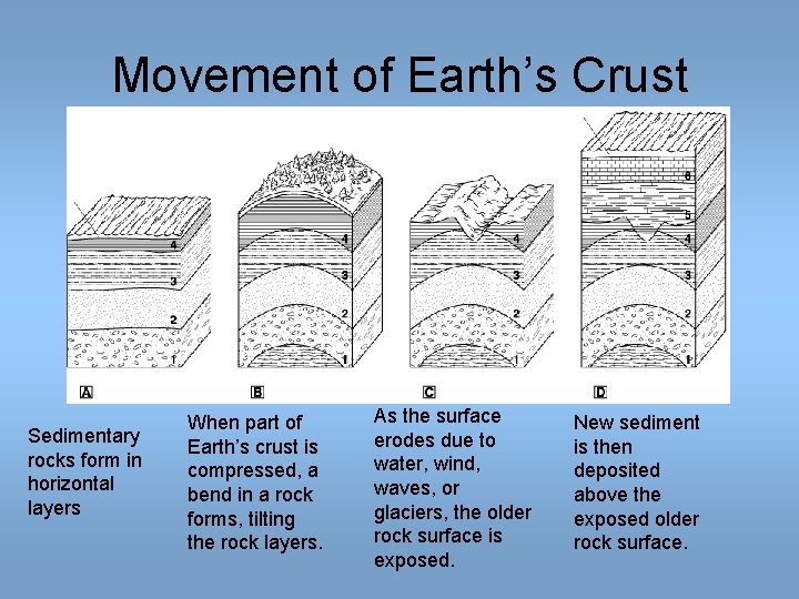 Movement of Earth’s Crust Sedimentary rocks form in horizontal layers When part of Earth’s Movement of Earth’s Crust Sedimentary rocks form in horizontal layers When part of Earth’s