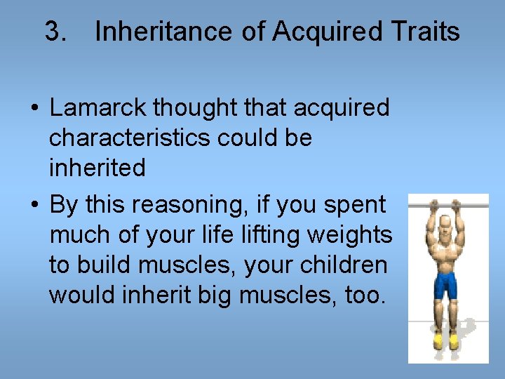 3. Inheritance of Acquired Traits • Lamarck thought that acquired characteristics could be inherited 3. Inheritance of Acquired Traits • Lamarck thought that acquired characteristics could be inherited