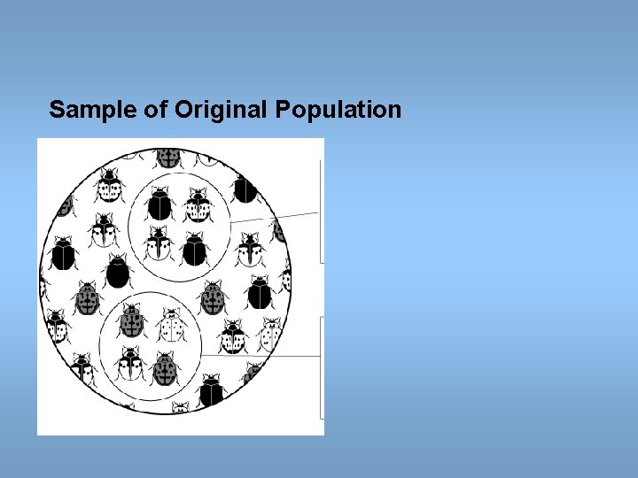 Sample of Original Population Sample of Original Population