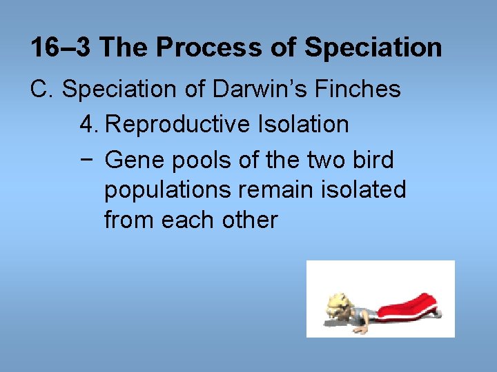 16– 3 The Process of Speciation C. Speciation of Darwin’s Finches 4. Reproductive Isolation 16– 3 The Process of Speciation C. Speciation of Darwin’s Finches 4. Reproductive Isolation