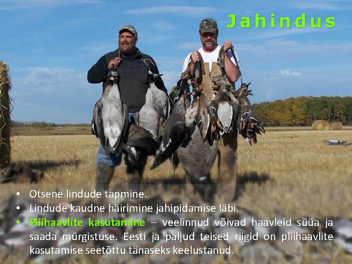 Jahindus • Otsene lindude tapmine. • Lindude kaudne häirimine jahipidamise läbi. • Pliihaavlite kasutamine