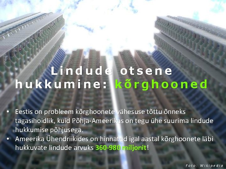 Lindude otsene hukkumine: kõrghooned • Eestis on probleem kõrghoonete vähesuse tõttu õnneks tagasihoidlik, kuid