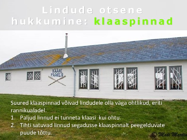 Lindude otsene hukkumine: klaaspinnad Suured klaaspinnad võivad lindudele olla väga ohtlikud, eriti rannikualadel. 1.