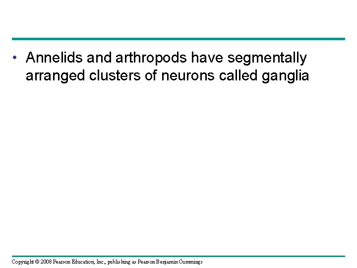  • Annelids and arthropods have segmentally arranged clusters of neurons called ganglia Copyright