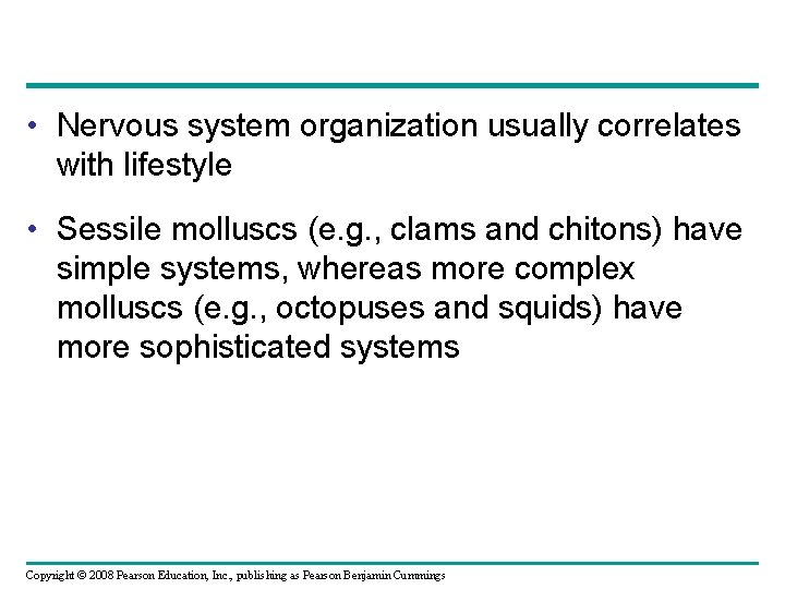  • Nervous system organization usually correlates with lifestyle • Sessile molluscs (e. g.