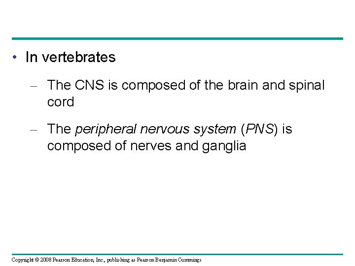  • In vertebrates – The CNS is composed of the brain and spinal