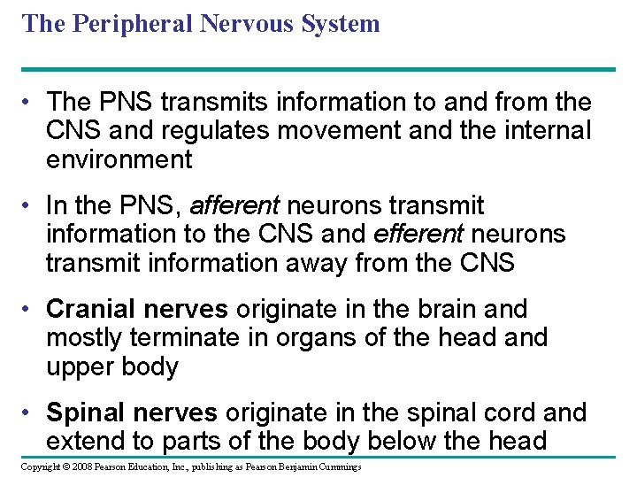 The Peripheral Nervous System • The PNS transmits information to and from the CNS