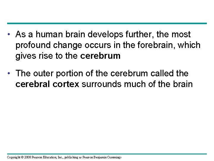  • As a human brain develops further, the most profound change occurs in