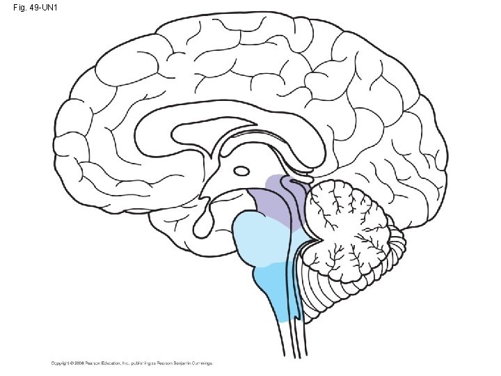 Fig. 49 -UN 1 