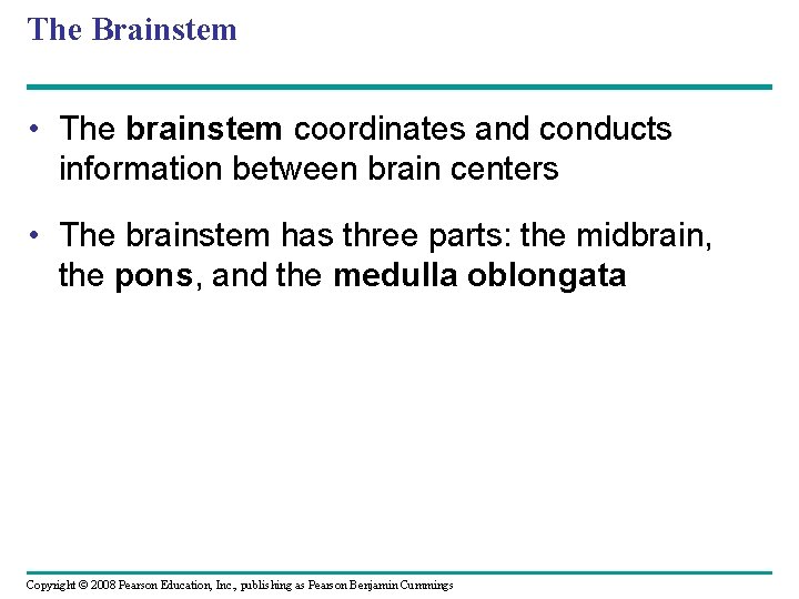 The Brainstem • The brainstem coordinates and conducts information between brain centers • The