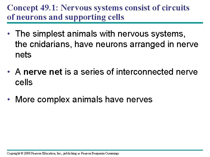 Concept 49. 1: Nervous systems consist of circuits of neurons and supporting cells •