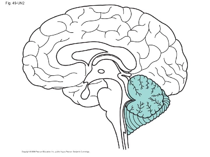 Fig. 49 -UN 2 