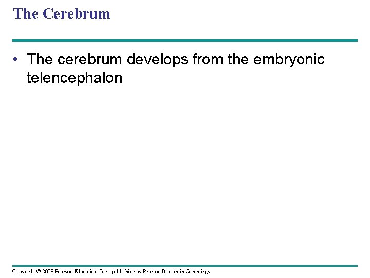 The Cerebrum • The cerebrum develops from the embryonic telencephalon Copyright © 2008 Pearson