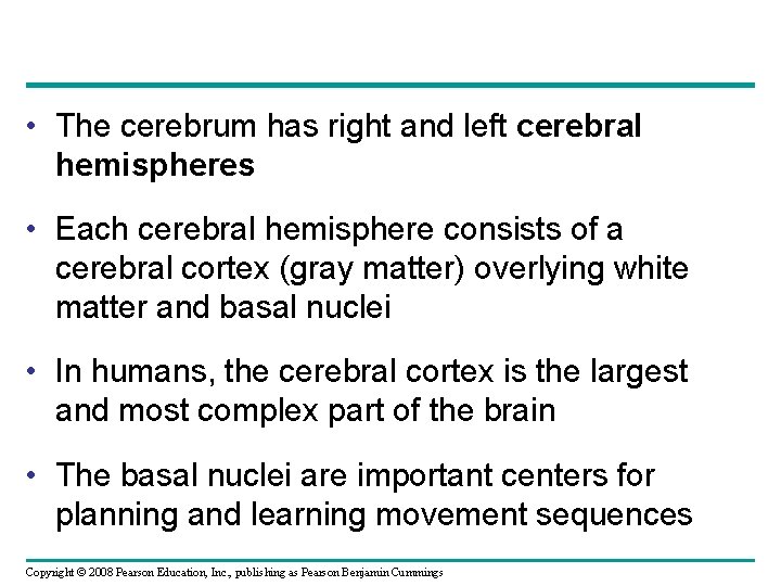  • The cerebrum has right and left cerebral hemispheres • Each cerebral hemisphere