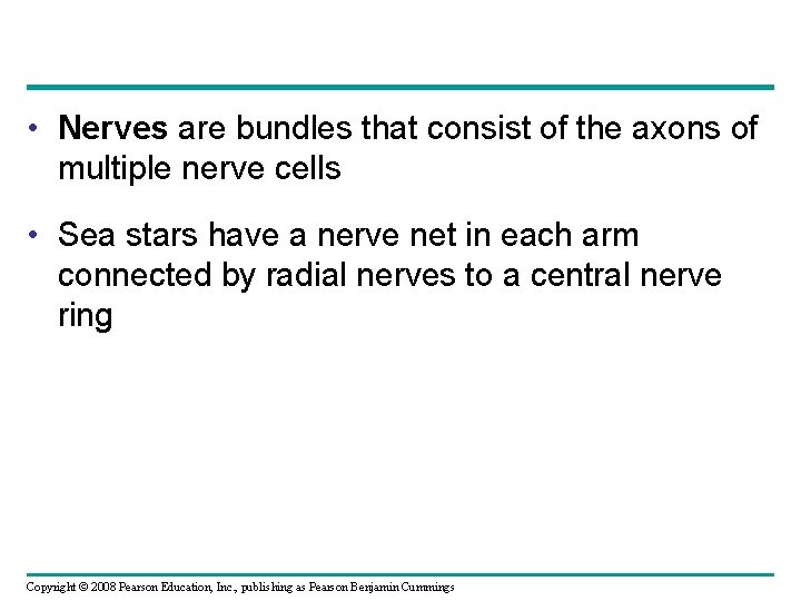  • Nerves are bundles that consist of the axons of multiple nerve cells