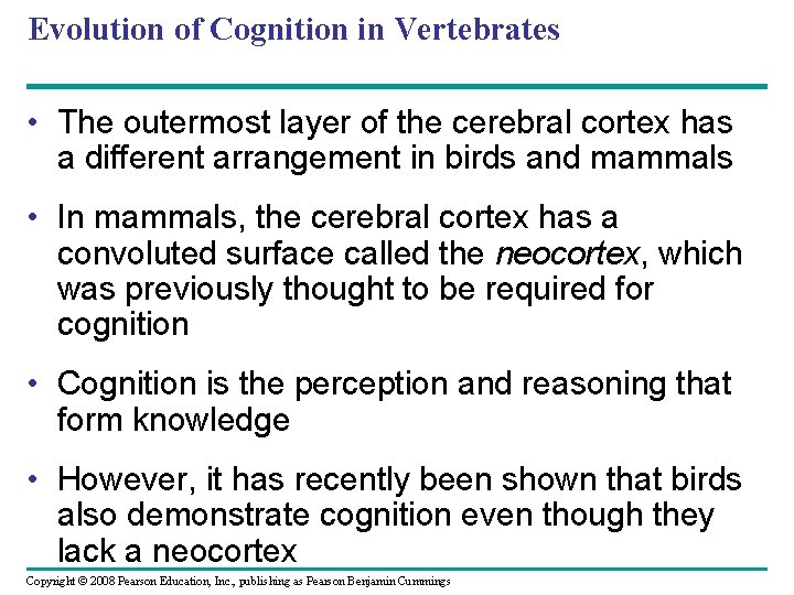 Evolution of Cognition in Vertebrates • The outermost layer of the cerebral cortex has