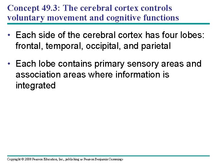 Concept 49. 3: The cerebral cortex controls voluntary movement and cognitive functions • Each