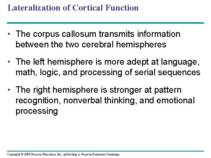 Lateralization of Cortical Function • The corpus callosum transmits information between the two cerebral
