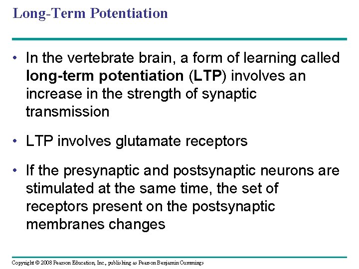 Long-Term Potentiation • In the vertebrate brain, a form of learning called long-term potentiation