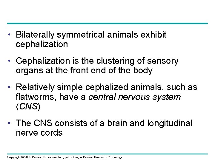  • Bilaterally symmetrical animals exhibit cephalization • Cephalization is the clustering of sensory