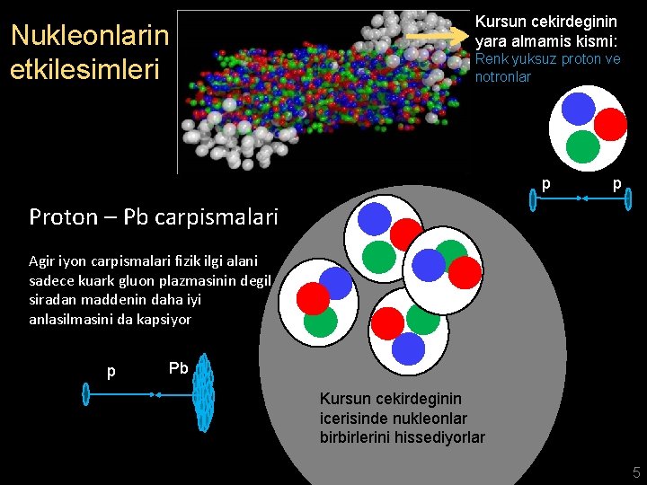 Nukleonlarin etkilesimleri Kursun cekirdeginin yara almamis kismi: Renk yuksuz proton ve notronlar p p