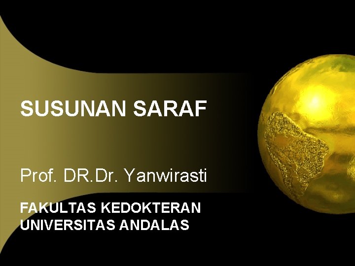 SUSUNAN SARAF Prof. DR. Dr. Yanwirasti FAKULTAS KEDOKTERAN UNIVERSITAS ANDALAS 