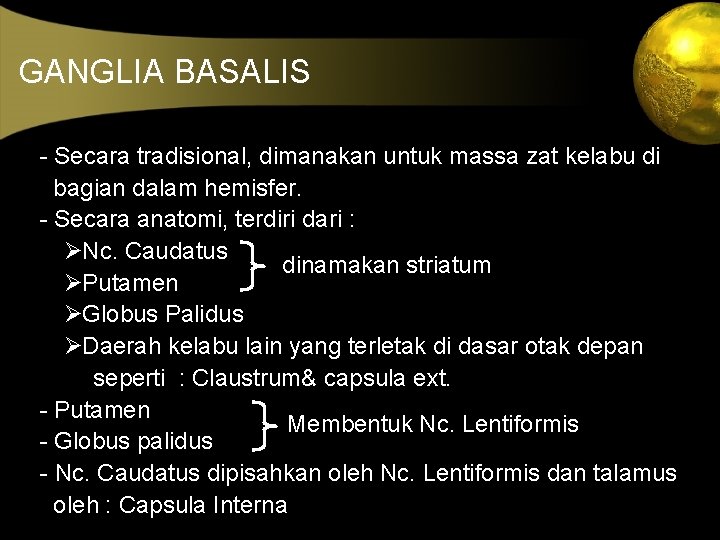 GANGLIA BASALIS - Secara tradisional, dimanakan untuk massa zat kelabu di bagian dalam hemisfer.