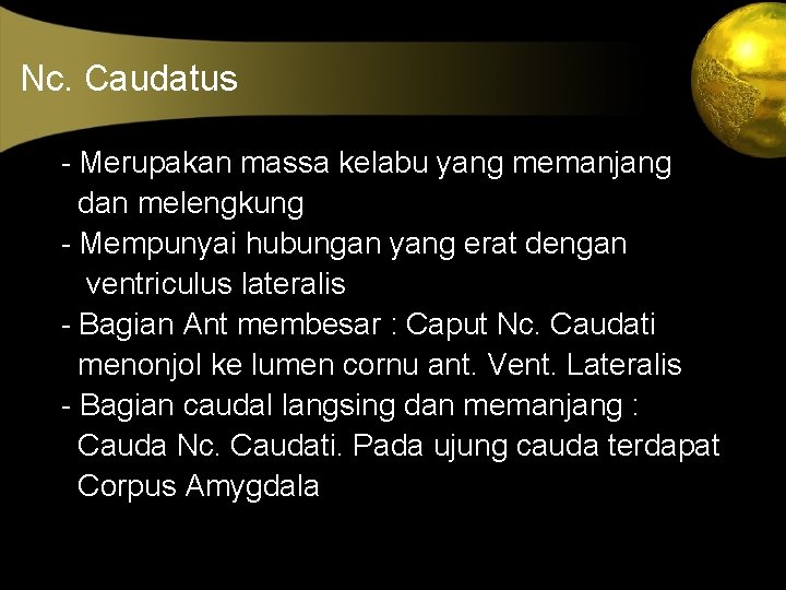 Nc. Caudatus - Merupakan massa kelabu yang memanjang dan melengkung - Mempunyai hubungan yang