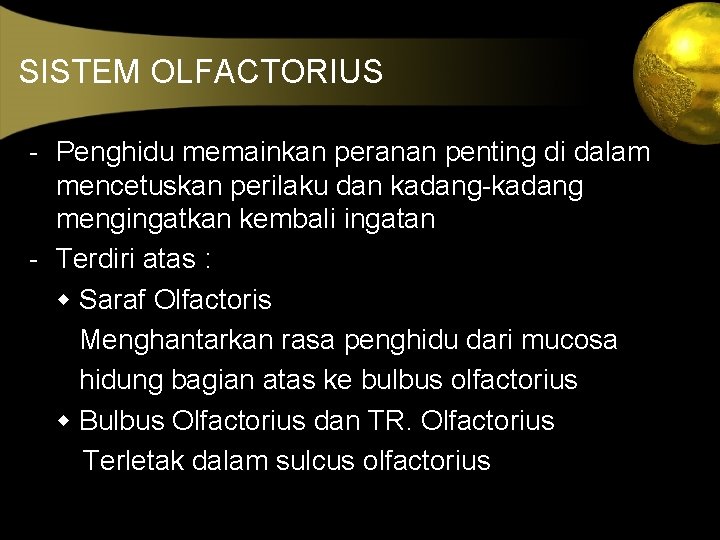 SISTEM OLFACTORIUS - Penghidu memainkan peranan penting di dalam mencetuskan perilaku dan kadang-kadang mengingatkan
