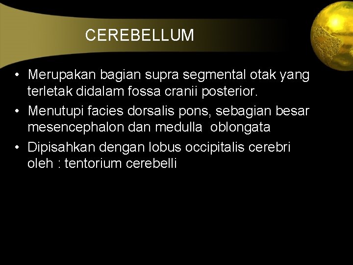  CEREBELLUM • Merupakan bagian supra segmental otak yang terletak didalam fossa cranii posterior.