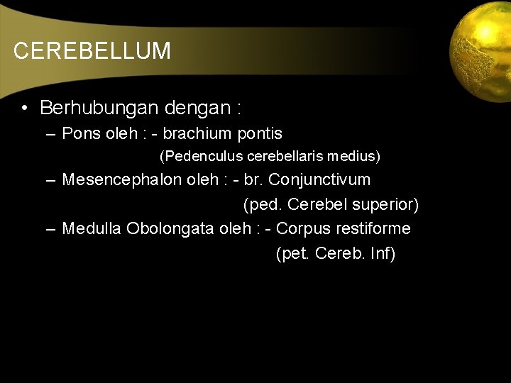 CEREBELLUM • Berhubungan dengan : – Pons oleh : - brachium pontis (Pedenculus cerebellaris