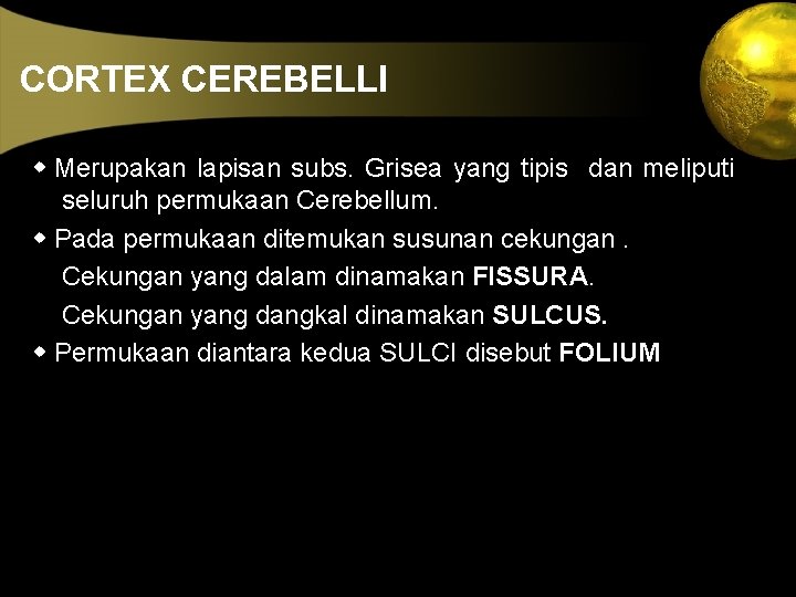 CORTEX CEREBELLI w Merupakan lapisan subs. Grisea yang tipis dan meliputi seluruh permukaan Cerebellum.