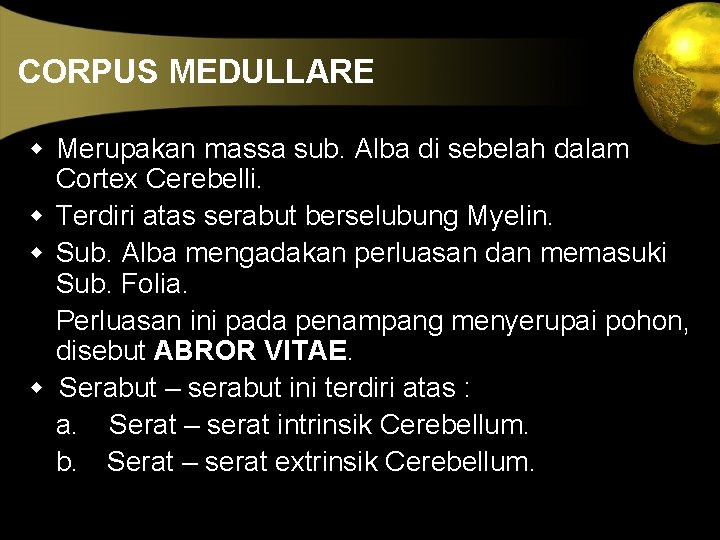 CORPUS MEDULLARE w Merupakan massa sub. Alba di sebelah dalam Cortex Cerebelli. w Terdiri