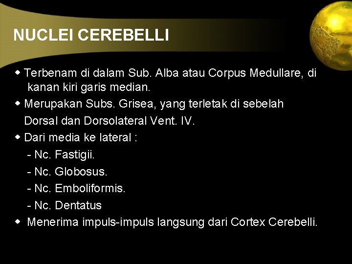 NUCLEI CEREBELLI w Terbenam di dalam Sub. Alba atau Corpus Medullare, di kanan kiri