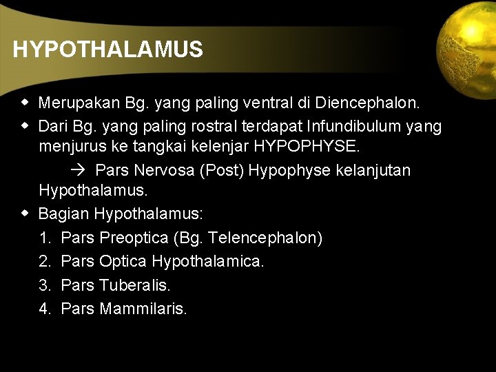 HYPOTHALAMUS w Merupakan Bg. yang paling ventral di Diencephalon. w Dari Bg. yang paling