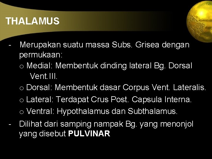 THALAMUS - Merupakan suatu massa Subs. Grisea dengan permukaan: o Medial: Membentuk dinding lateral