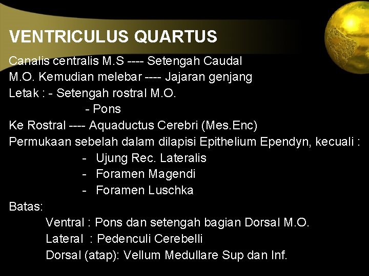 VENTRICULUS QUARTUS Canalis centralis M. S ---- Setengah Caudal M. O. Kemudian melebar ----