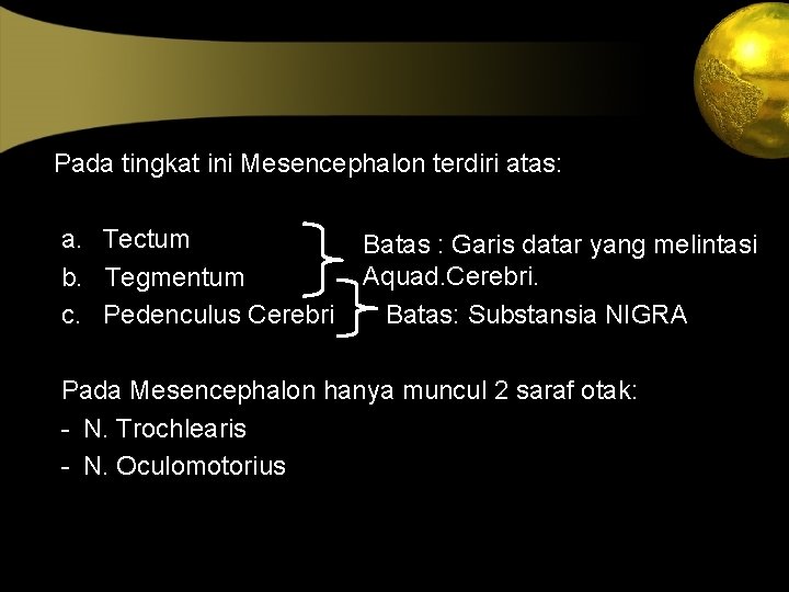  Pada tingkat ini Mesencephalon terdiri atas: a. Tectum Batas : Garis datar yang