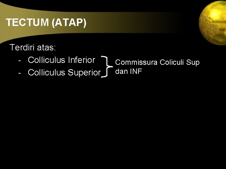 TECTUM (ATAP) Terdiri atas: - Colliculus Inferior - Colliculus Superior Commissura Coliculi Sup dan