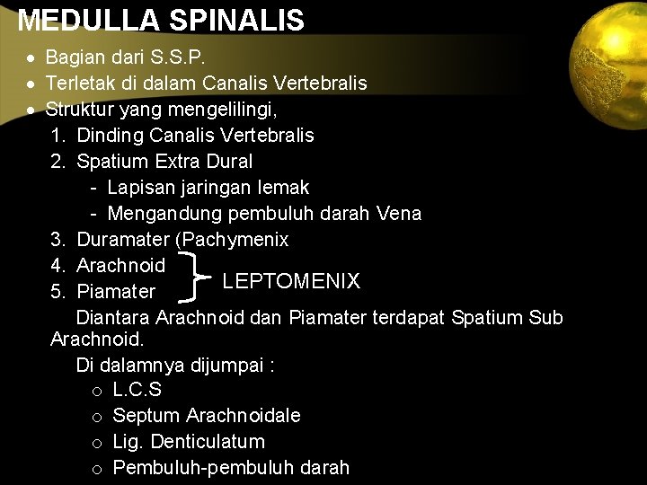MEDULLA SPINALIS · Bagian dari S. S. P. · Terletak di dalam Canalis Vertebralis