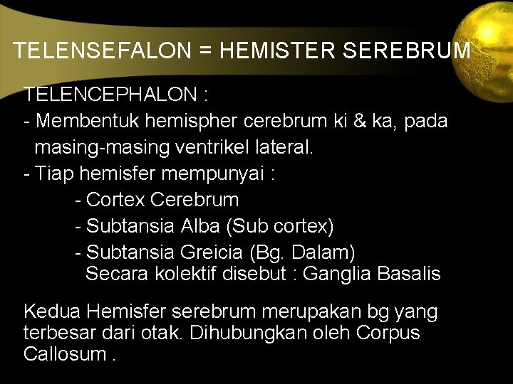 TELENSEFALON = HEMISTER SEREBRUM TELENCEPHALON : - Membentuk hemispher cerebrum ki & ka, pada