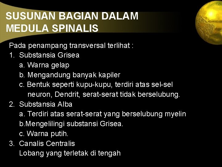 SUSUNAN BAGIAN DALAM MEDULA SPINALIS Pada penampang transversal terlihat : 1. Substansia Grisea a.