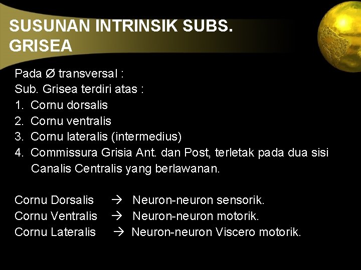 SUSUNAN INTRINSIK SUBS. GRISEA Pada Ø transversal : Sub. Grisea terdiri atas : 1.