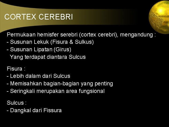 CORTEX CEREBRI Permukaan hemisfer serebri (cortex cerebri), mengandung : - Susunan Lekuk (Fisura &